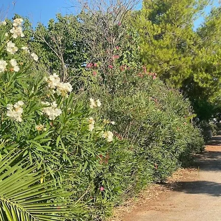 Cosy Residenze بيت للعطل